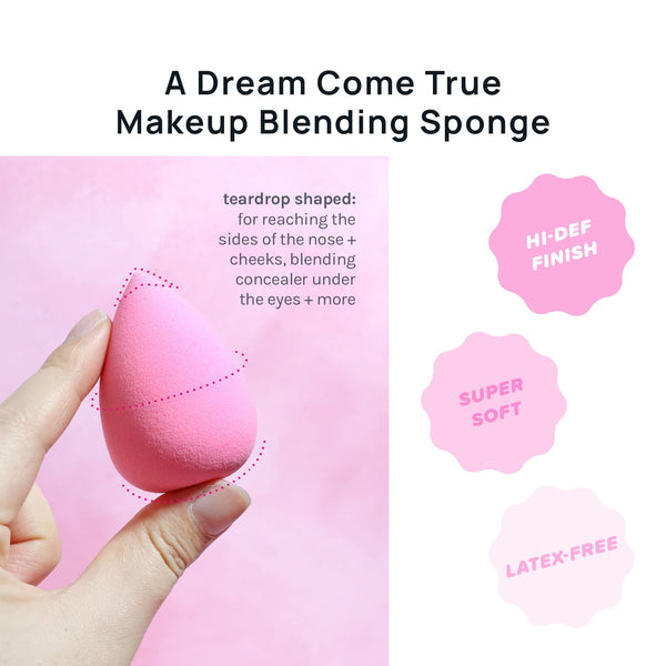 Pro Blend Wonder Sponge Set