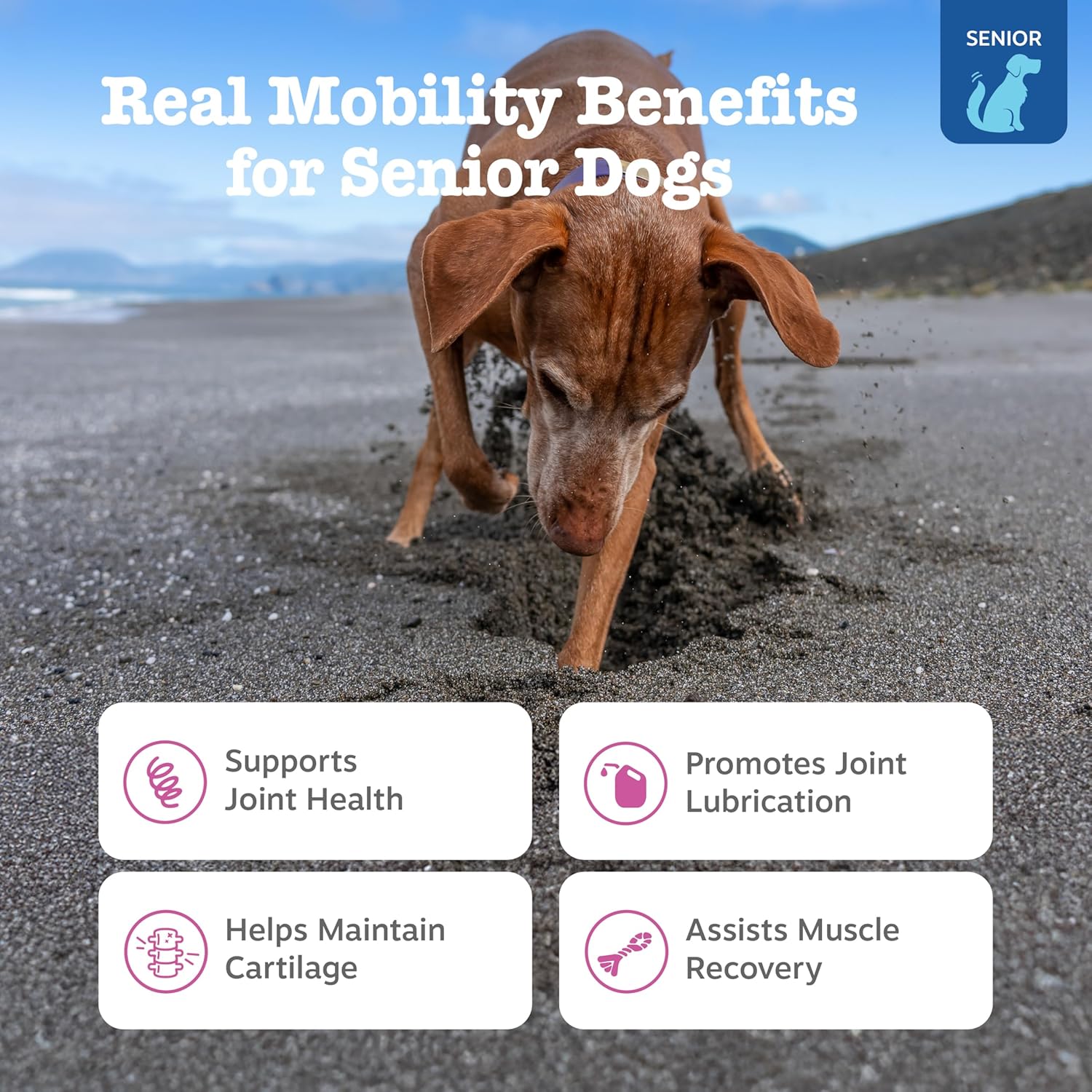 StrideStrong Hip & Joint Chews