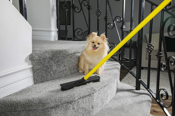 FURemover Rubber Broom